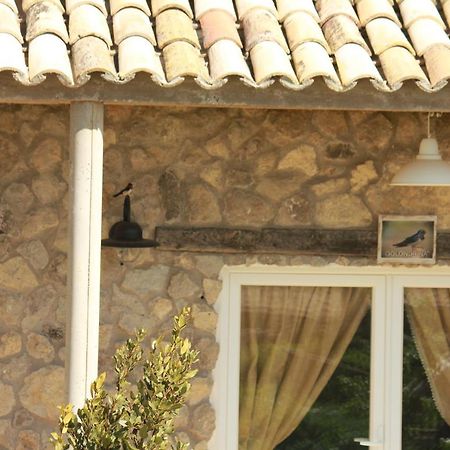 Hotelmirador Las Grullas Montmesa Exteriér fotografie